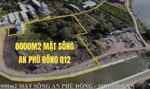 Đất biệt thự villas 1200m2 An Phú Đông, giá rẻ bán gấp 2021