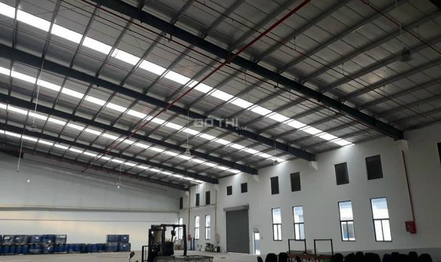 Cho thuê bãi, kho xưởng trong và ngoài khu chế xuất Tân Thuận Q7 giá từ 70,000đ/m2