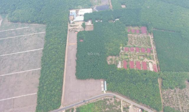 Chính chủ cần bán đất mặt tiền tại Bình Phước giá 710 - 800tr. LH 0971311081