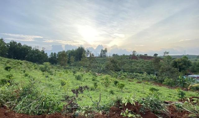 Đất vườn trung tâm Bảo Lộc - Lý Thường Kiệt - Cách Chùa Trà 700m