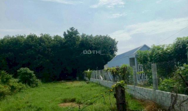 Gia đình cần bán gấp đất vườn Nguyễn Thị Rành SH riêng, công chứng sang tên. 1089m2, 950 tr