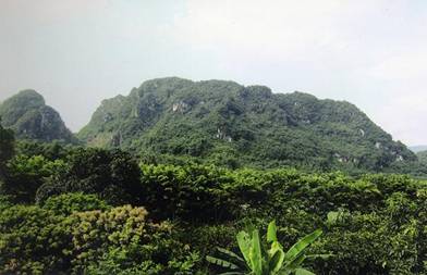 Hot bán lô đất view đỉnh ngay trung tâm thị trấn Cao Phong 1400m2 full thổ cư
