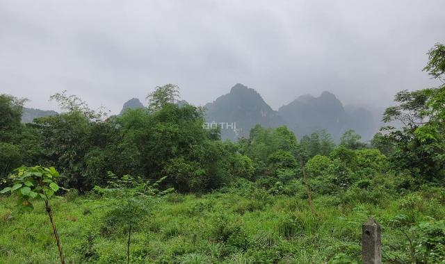 Bán gấp 3250m2 đất thổ cư view vị trí đẹp giá rẻ tại Lương Sơn, Hòa Bình