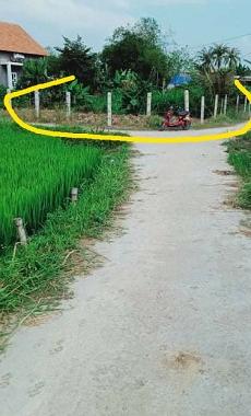 Chính chủ bán lô đất 186m2 Xã Phước Hiệp, Huyện Tuy Phước, Bình Định