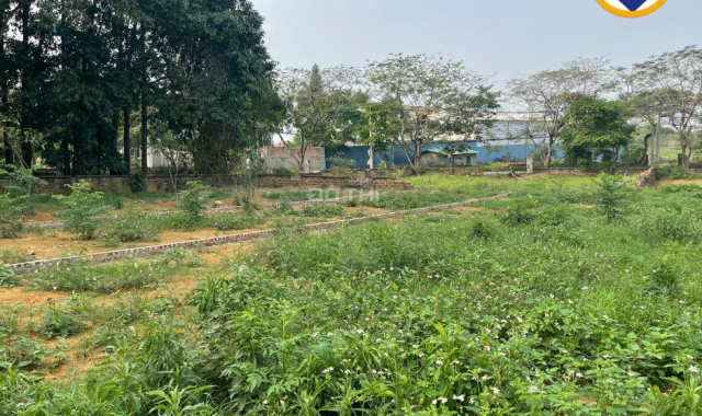 Bán đất tại Xã Phú Cát, Quốc Oai, Hà Nội diện tích 142.2m2 - Tiến Mai Dreamland