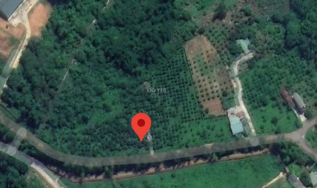Chỉ hơn 400 nghìn/m2 bán ngay đất nghỉ dưỡng có vườn cam siêu đẹp tại Cao Phong