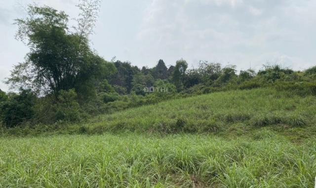 Cần tiền bán lỗ đất thổ cư Hòa Sơn, Lương Sơn view cánh đồng DT 2000 m2
