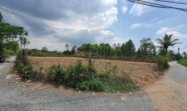Đất vườn Long Phước, Quận 9 giá rẻ 15x50m giá 15tr/m2 rẻ 2021