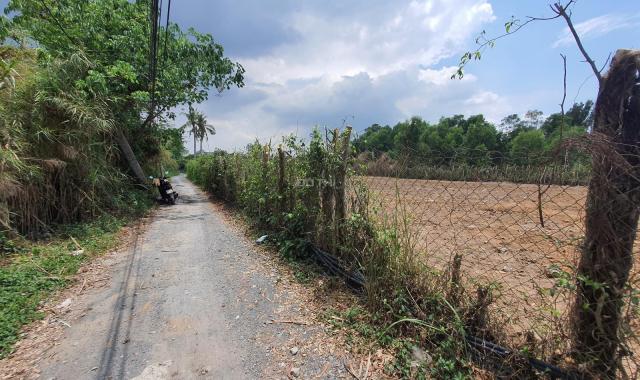 Đất vườn Long Phước, Quận 9 giá rẻ 15x50m giá 15tr/m2 rẻ 2021