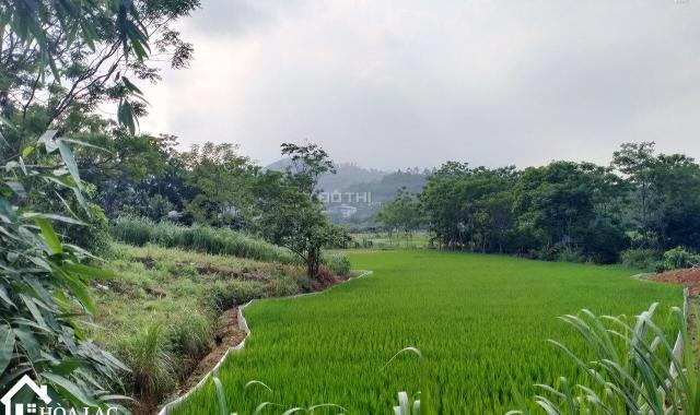 Yên Bài lô góc chỉ hơn 1 tỷ lô đất bám cánh đồng lúa, gần ủy ban xã, trường học