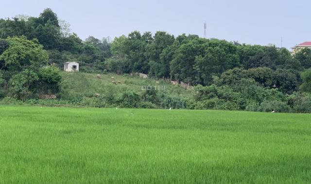 Bán gấp 2800m2 đất thổ cư view cánh đồng tuyệt đẹp tại Hòa Sơn, Lương Sơn, Hòa Bình