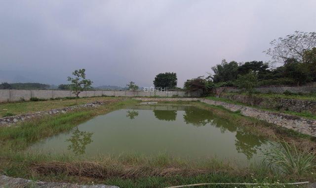 Cần bán 4848m2 đất thổ cư đẹp như bức tranh làng quê yên bình tại Lương Sơn, Hòa Bình