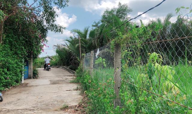 Bán đất tại đường Rừng Sác, Bình Khánh, Cần Giờ, giá đầu tư