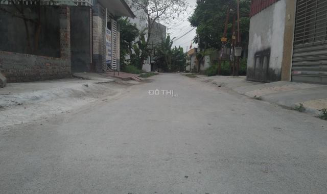 Bán đất tại đường Cái Tắt, Xã An Đồng, An Dương, Hải Phòng diện tích 100m2, giá 2.25 tỷ