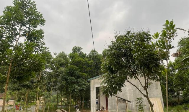 Bán nhanh 3000m2 đất thổ cư giá siêu rẻ tại Lương Sơn, Hòa Bình