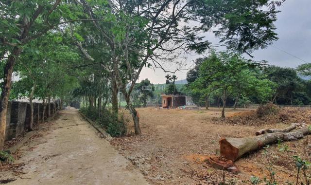Bán 6800m2 đất thổ cư làm nhà vườn nghỉ dưỡng tuyệt đẹp tại Lương Sơn, Hòa Bình