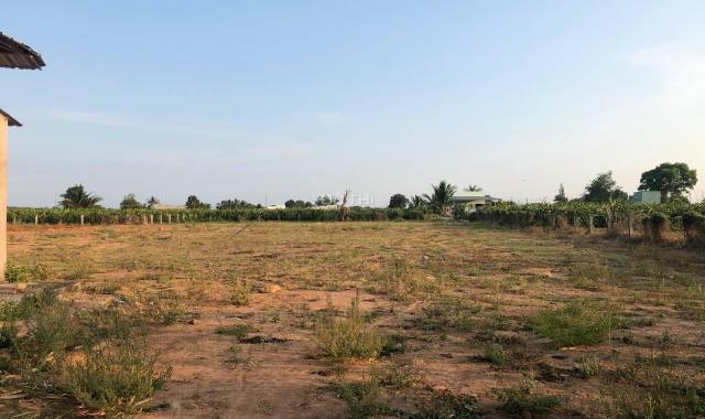 Bán đất vườn gần ngã 3 Hàm Đức, Bình Thuận. Sổ đỏ cầm tay, giá đầu tư: 750 nghìn/m2