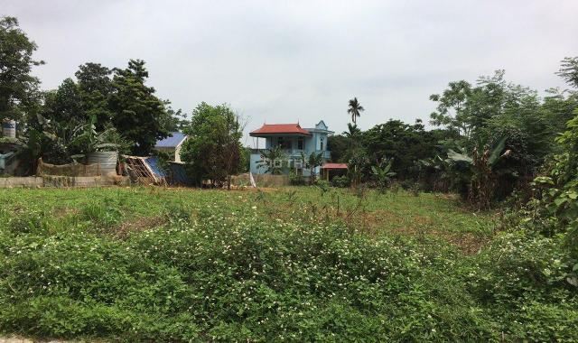 Chính chủ cần bán đất tại Cố Thổ Xã Hòa Sơn, Lương Sơn, Hòa Bình