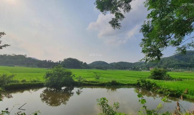 Chỉ với 650 triệu có ngay 840m2 full thổ cư view cánh đồng tuyệt đẹp tại Kim Bôi, Hòa Bình