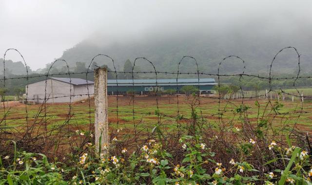 Bán trang trại, khu nghỉ dưỡng tại đường Quốc Lộ 12B, Kim Bôi, Hòa Bình diện tích 150000m2