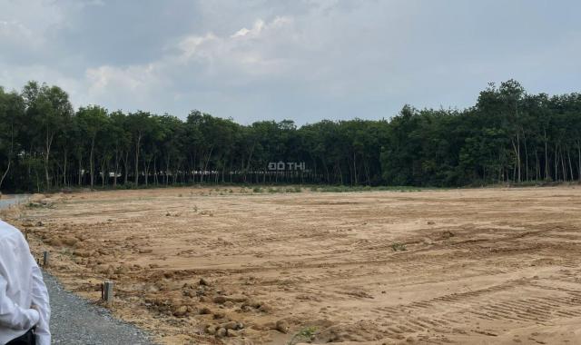 Bán đất trên đường trường lái Vĩnh Tân DT 330m2 giá hơn 900tr/nền