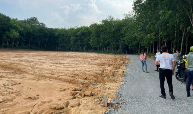 Bán đất trên đường trường lái Vĩnh Tân DT 330m2 giá hơn 900tr/nền