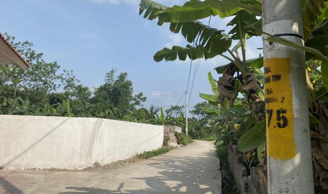Bán đất tại xã Chương Dương, Thường Tín, Hà Nội diện tích 497m2