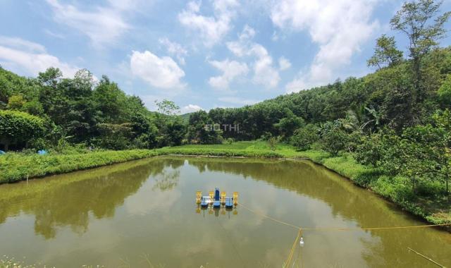 Siêu phẩm đất làm trang trại nhà vườn tuyệt đẹp tại Lạc Thủy, Hòa Bình với diện tích 4ha