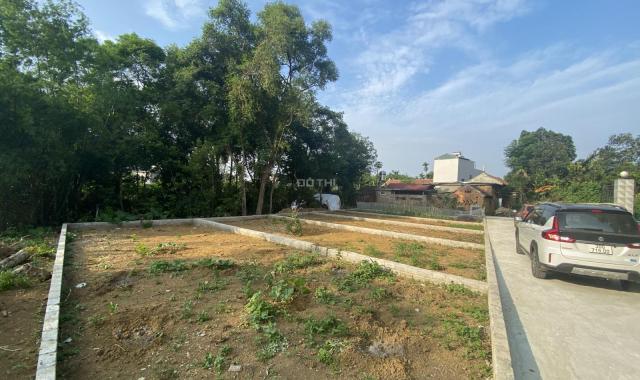 Chính chủ bán 70m2 đất Hạ Bằng, sát gần CNC Hoà Lạc, nhà máy Vsmart, Hanwa, Niddec, sinh lời ngay