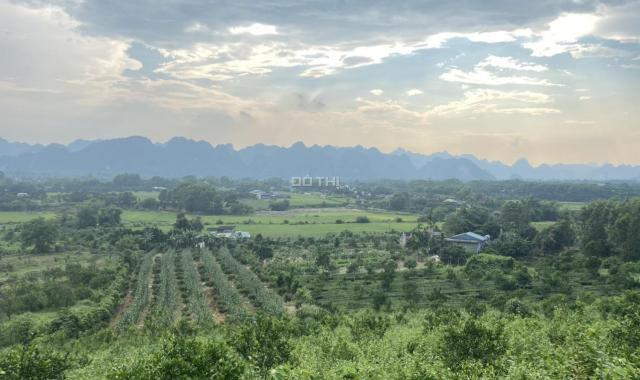 Bán đất Lạc Thuỷ diện tích 5ha đất phẳng View đồi núi và đồng