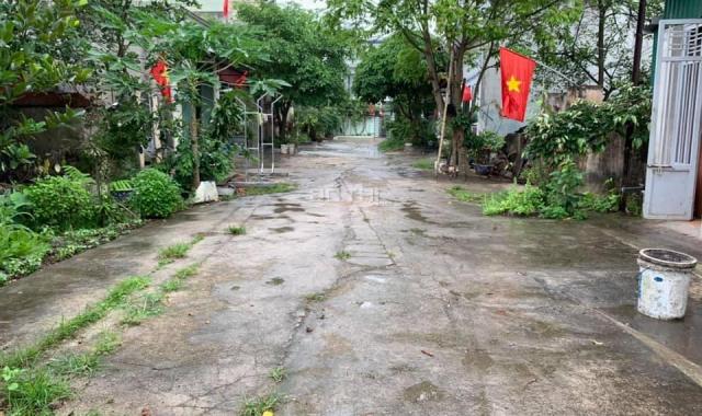 Bán đất trung tâm quận Đồ Sơn, Hải Phòng giá cực rẻ 13tr/m2