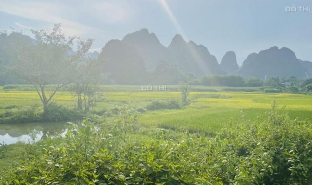 Bán nhanh 1,4ha, đất sinh thái, phù hợp làm xưởng, trang trại view thoáng, Cao Dương, Lương Sơn