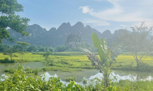 Bán nhanh 1,4ha, đất sinh thái, phù hợp làm xưởng, trang trại view thoáng, Cao Dương, Lương Sơn