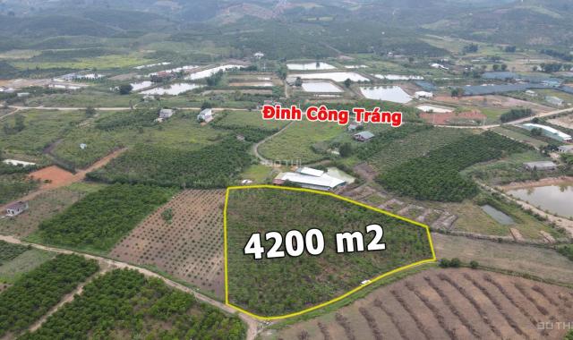Bán đất đường Đinh Công Tráng, Lộc Châu với hơn 100m mặt tiền