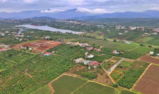 Chính chủ bán gấp lô đất gần Hồ Tây, ngay đường Ngô Quyền, thị trấn Di Linh, Lâm Đồng