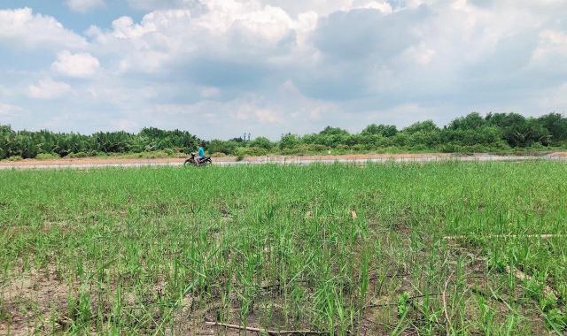 Bán 2156m2 100% đất ở ngay Bình Khánh, gần cao tốc giá rẻ chỉ bằng đất nông nghiệp