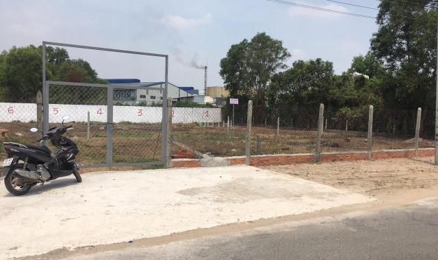 Đất mặt tiền xây xưởng 650 m2 Trần Đại Nghĩa, Bình Chánh tặng kèm theo 350m2 đất trồng cây