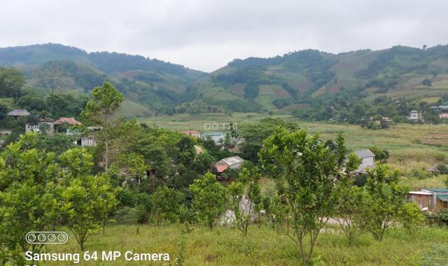 Bán đất Cao Phong 3000m2 có sẵn nhà sàn view thoáng