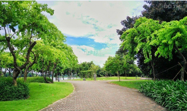 Bán đất xây nhà view công viên hồ sinh thái, sổ riêng, dân cư đông đường Trần Văn Giàu