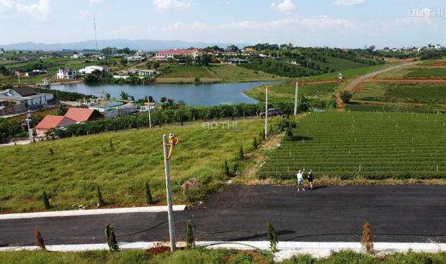 Chỉ từ 1.4 tỷ sở hữu ngay một lô đất view hồ và đồi chè ở Bảo Lộc