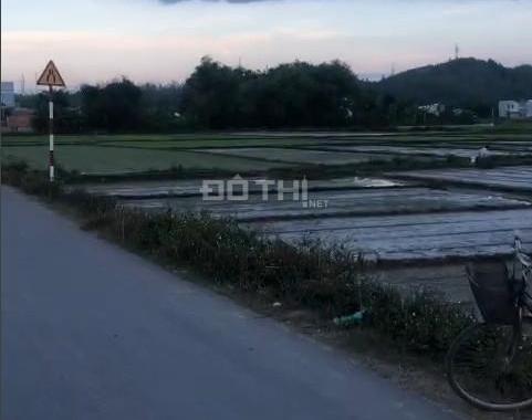 Cần bán gấp 2 lô đất Xã Phước An, Huyện Tuy Phước, Tỉnh Bình Định