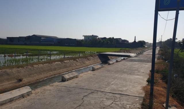 Bán 1000m2, sau lưng tái định cư Long Bình, (gần quán ăn Ngô Đồng), xã An Hải, Ninh Phước, Ninh Thu