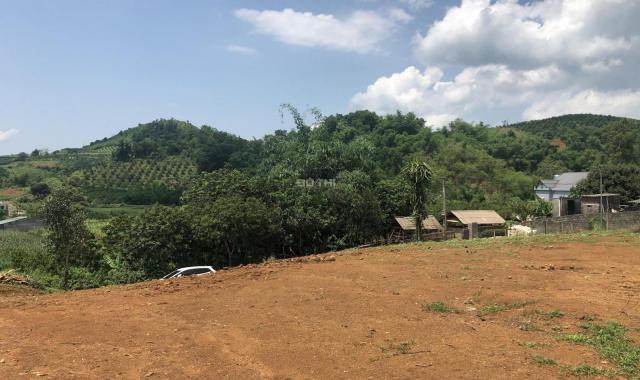 Cần bán gấp 4841m2 đất thổ cư giá cực rẻ tại Cao Phong, Hòa Bình