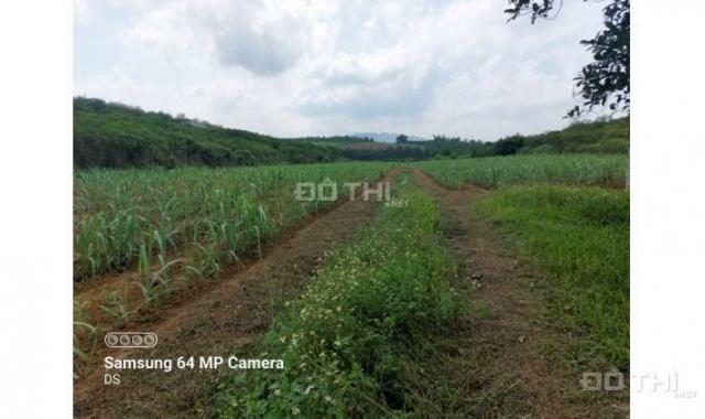 Bán đất Cao Phong giá rẻ chỉ với 260nghìn/m2