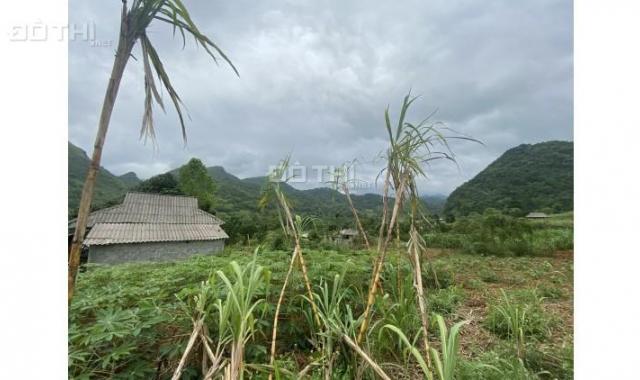 Cần bán mảnh đất cam Cao Phong full thổ cư giá rẻ