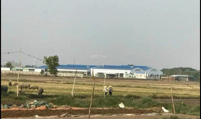 Đất gần Nguyễn Văn Bứa Hóc Môn mặt tiền đường 8m xe container 2,5tr/m,2 khu dân cư