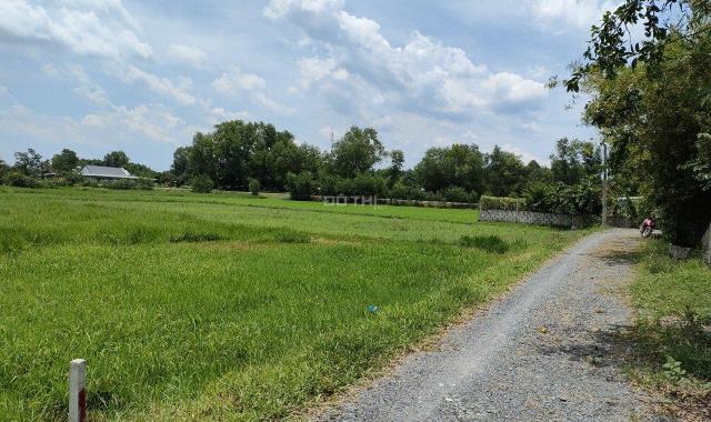 Bán đất vườn, quy hoạch khu dân cư giá rẻ Củ Chi, TPHCM