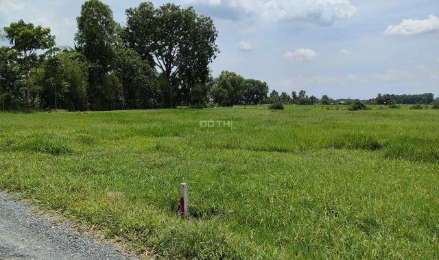 Bán đất vườn, quy hoạch khu dân cư giá rẻ Củ Chi, TPHCM