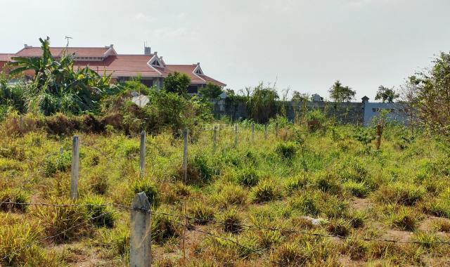 Bán lô đất mặt tiền đường nhựa 436, diện tích 267m2, full thổ cư, xã Phú Hòa Đông, huyện Củ Chi