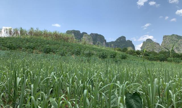 Bán đất Cao Phong siêu phẩm nghỉ dưỡng 4000m2 hậu sơn tiền thuỷ